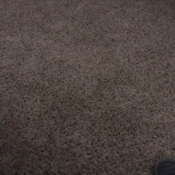 Meet your Posher, Brett - Picture 1 of 1